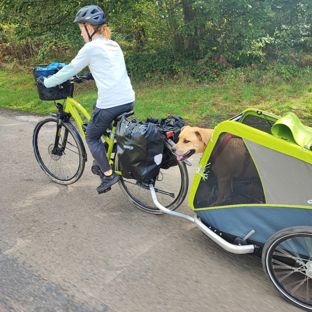 Croozer pour transporter chien à vélo, Vélos & Vélomoteurs, Remorque pour chien, 20 à 40 kg, Croozer, Enlèvement