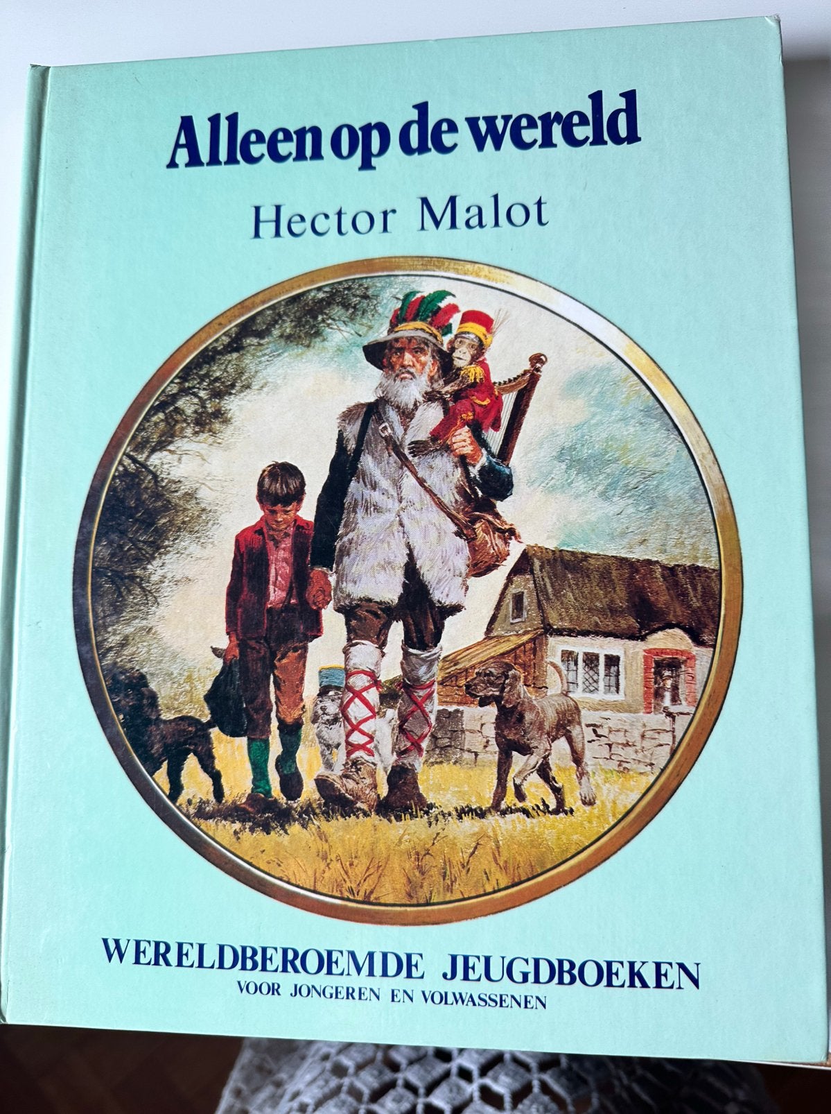 Alleen op de wereld, Livres, Contes & Fables, Enlèvement ou Envoi, Comme neuf