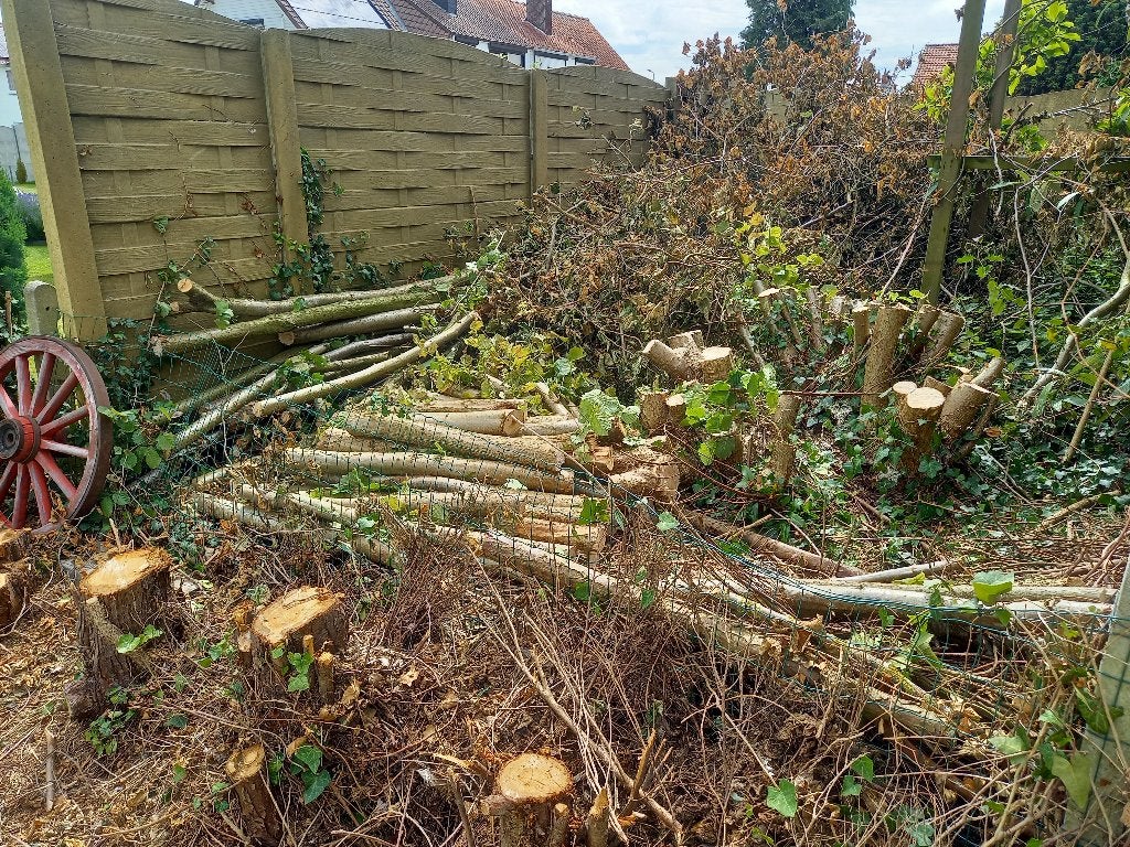 Bois a donner à Hannut, Enlèvement, Utilisé