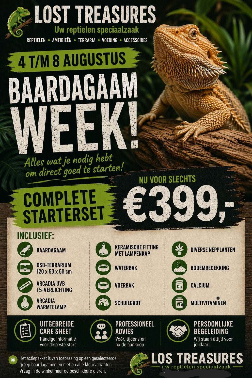 Actieweek Baardagamen – Complete starterset € 399,-!, Dieren en Toebehoren