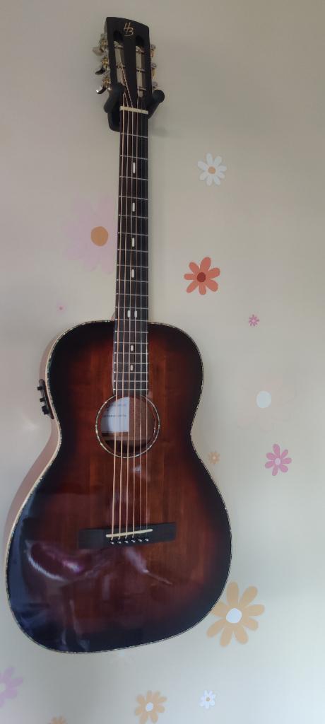 Harley Benton folk guitar parlor, Musique & Instruments, Enlèvement, Comme neuf, Guitare Western ou Guitare Folk, Avec valise