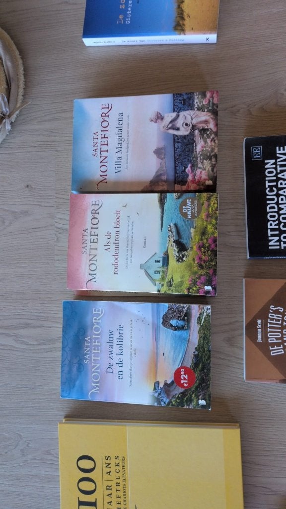 De zwaluw van kolibrie - 426 blz- 5€, Livres, Romans, Enlèvement ou Envoi, Utilisé, Santa Montefiore