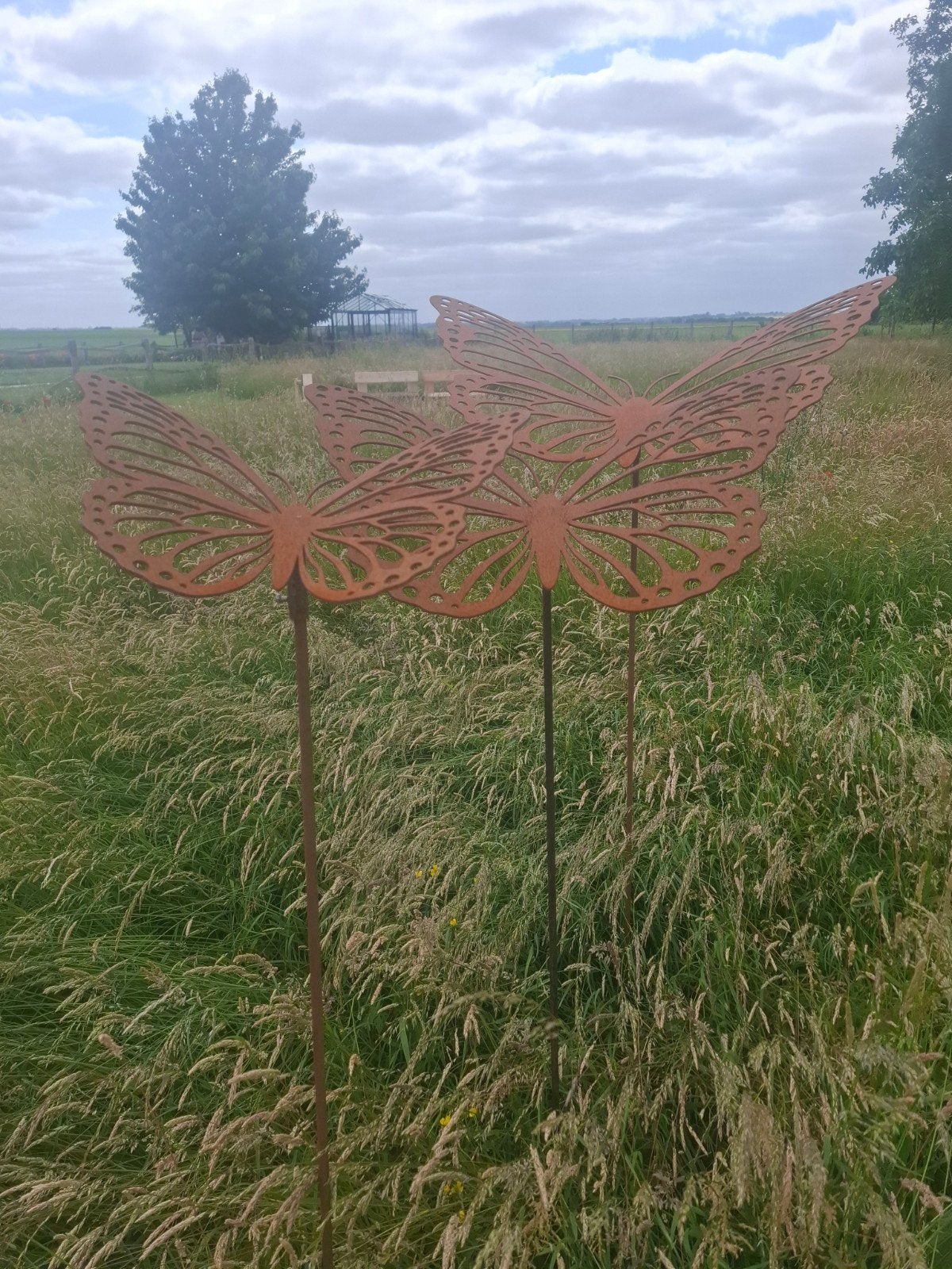 Des papillons en véritable acier corten ! EYECATHER pour tou, Enlèvement