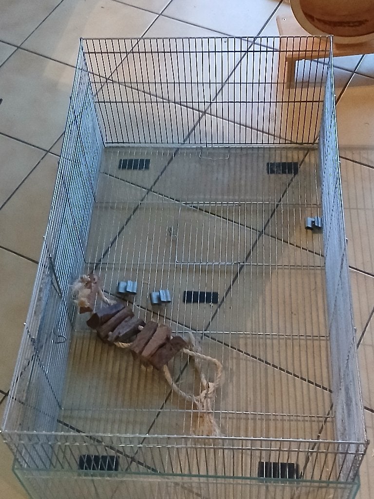 Cage à hamster avec accessoires, Hamster, Moins de 60 cm, Cage, Utilisé