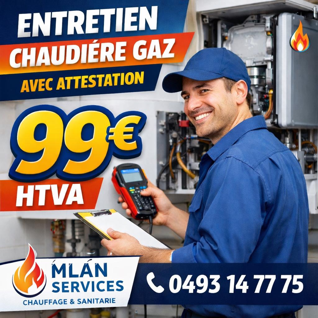 Problemen oplossen. Onderhoud van de ketel 99 euro