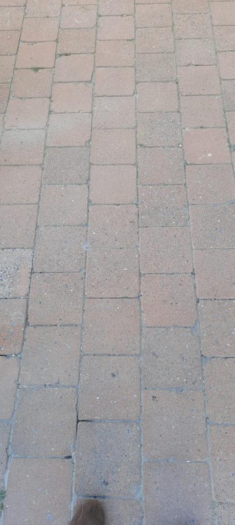 Gratis klinkers +-33.5m², Enlèvement, Briques