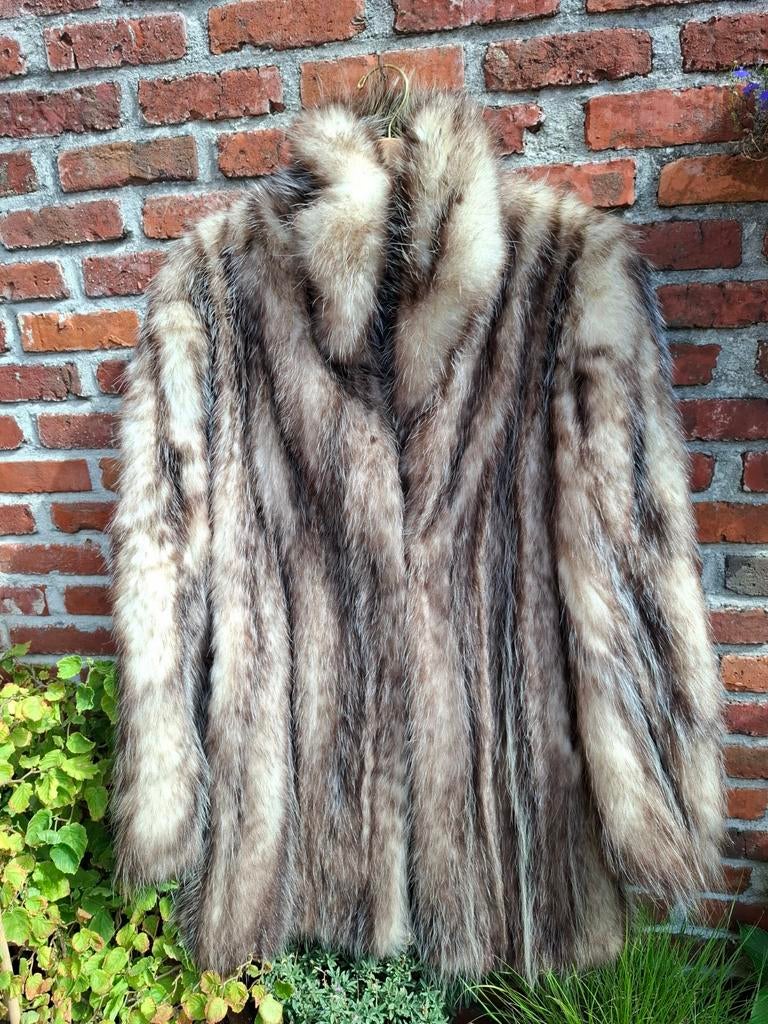 Korte jas Opossum pels, Enlèvement, Comme neuf, Taille 46/48 (XL) ou plus grande, Brun