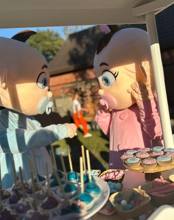 gender reveal mascottes