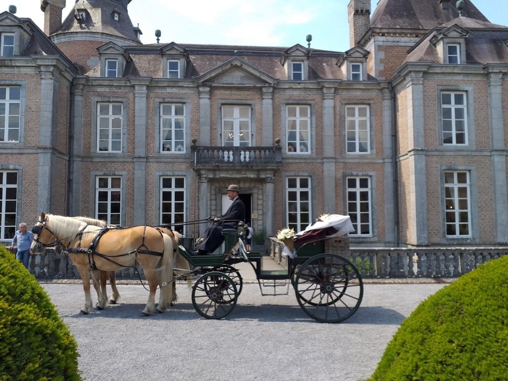 caleche, Utilisé, Autres types, Cheval ou Poney