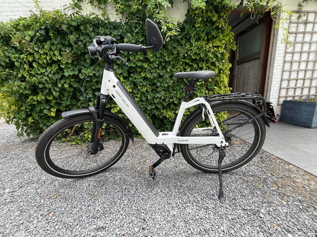 Riese & Müller pedelec, 47 tot 50 cm, Schijfrem, Ophalen, Overige merken