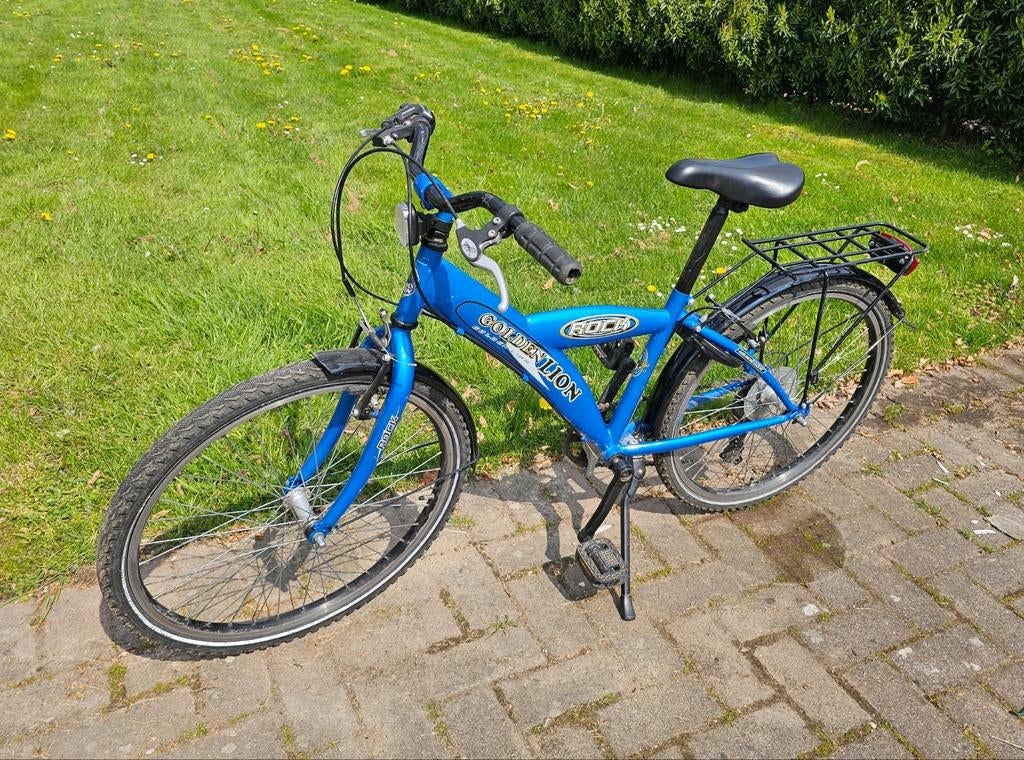 Jongensfiets 24 inch, Ophalen, Velgrem, Golden Lion, Gebruikt