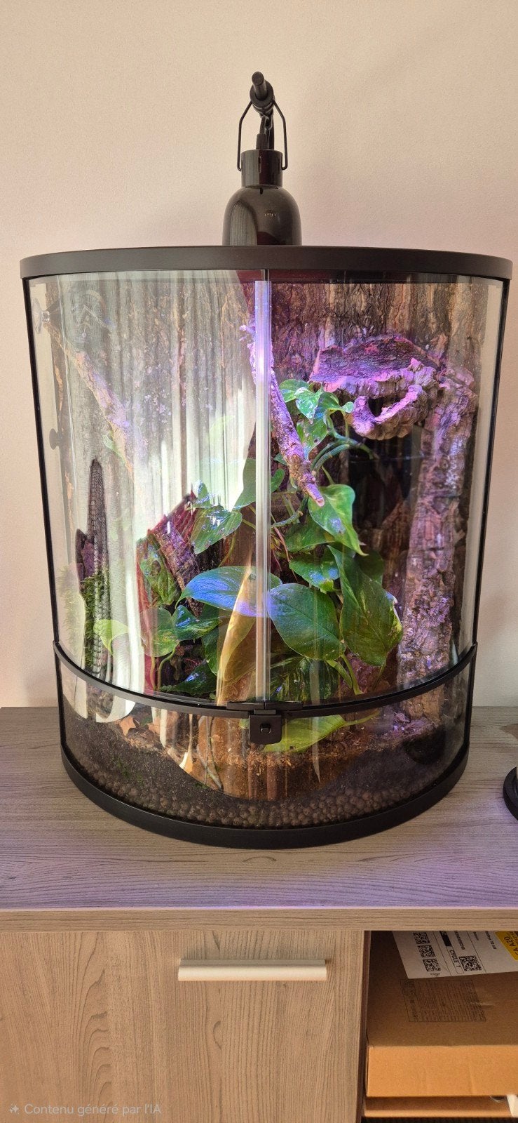 terrarium repto terra, Ophalen, Zo goed als nieuw, Terrarium of Paludarium