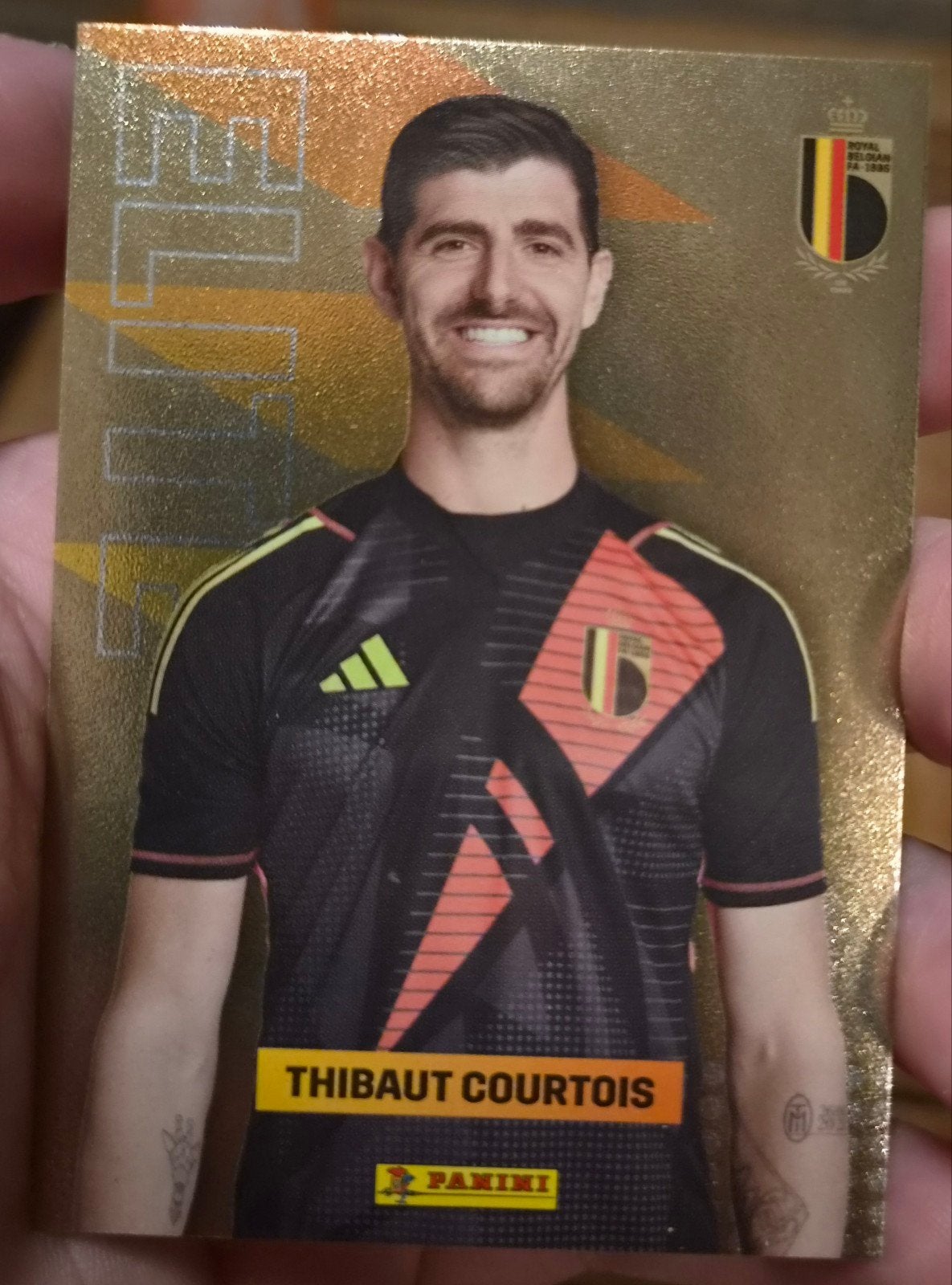 carte Panini Belgian Red devils 2026, Collections, Envoi