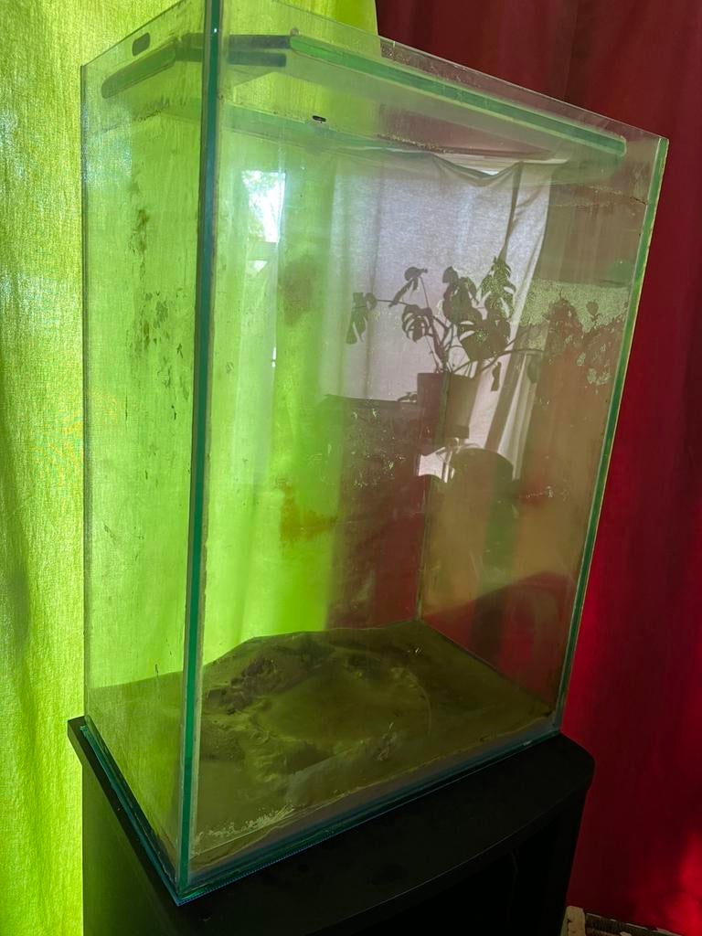 Aquarium avec meuble noir, vitrine et deux portes magnétique, Poissons inclus, Enlèvement, Autres marques, Meuble d'aquarium