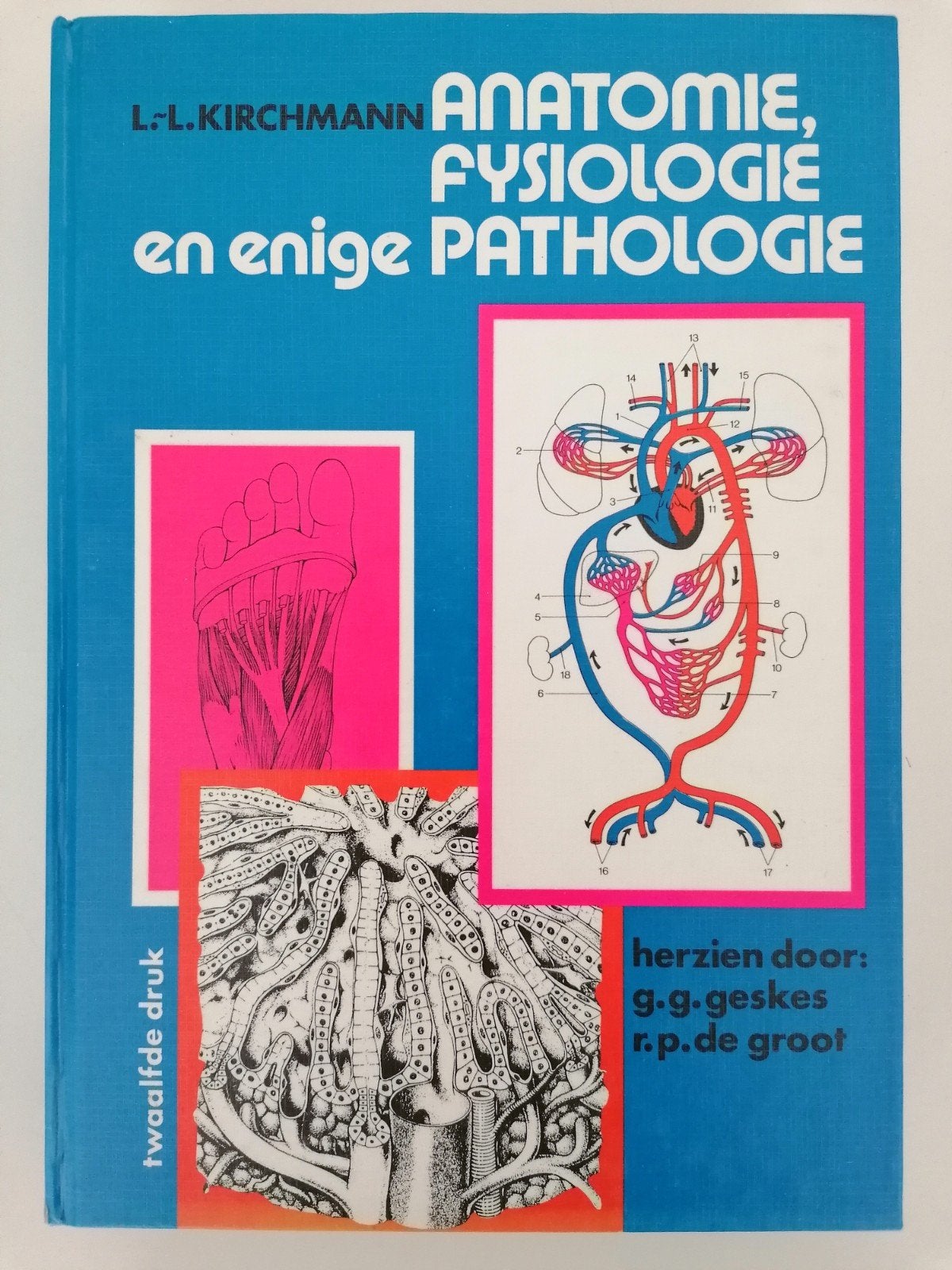 Anatomie, fysiologie en enige Pathologie van L. L. Kirchmann, Boeken, Studieboeken en Cursussen, Ophalen of Verzenden