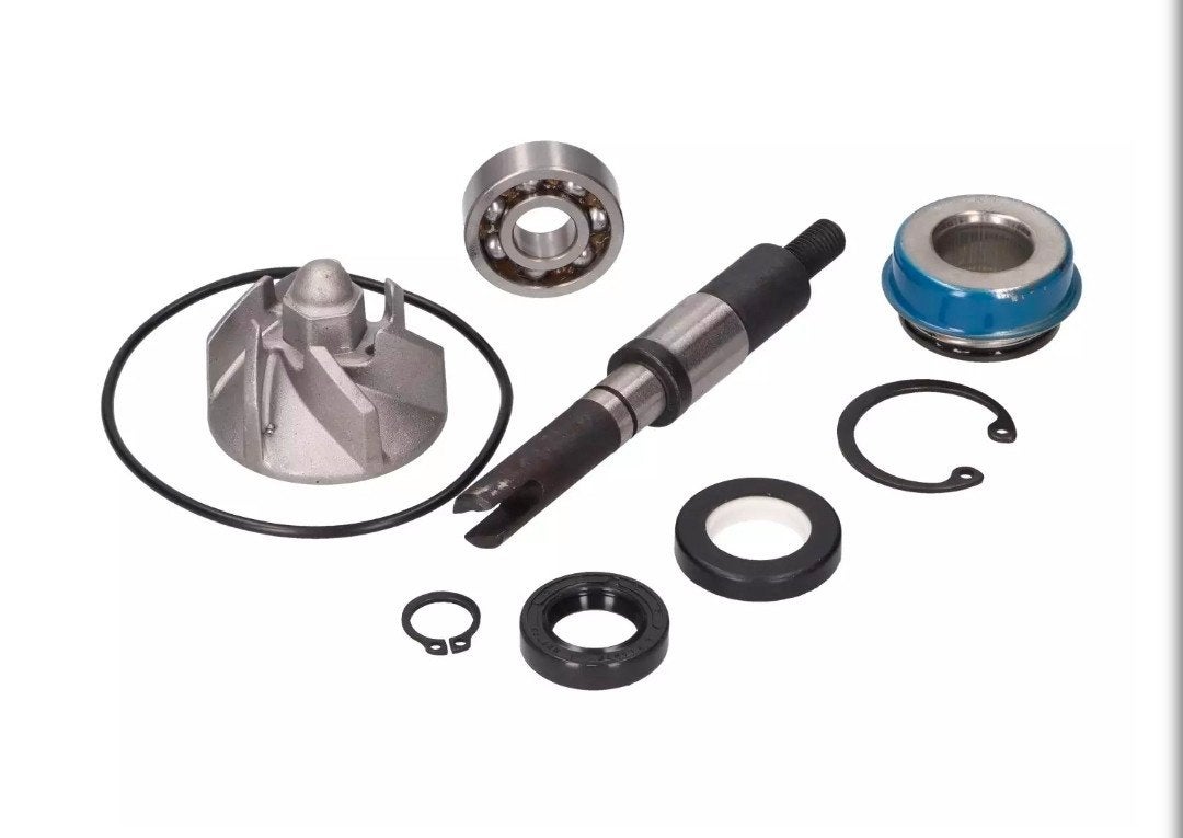 Reparatiekit Waterpomp voor Honda FES, NES, SH, SES, Vélos & Vélomoteurs, Cyclomoteurs | Honda, Enlèvement ou Envoi