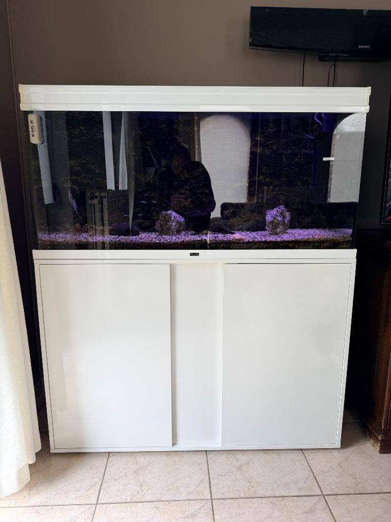 Aquarium 220L met meubel en vissen – instapklaar, Dieren en Toebehoren, Vissen | Aquaria en Toebehoren, Gebruikt, Grind, Zand of Voedingsbodem