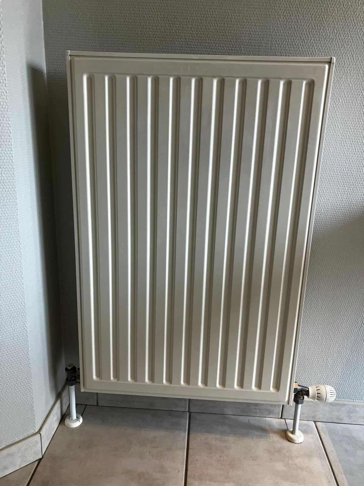 Radiator Radson type 22, 800 watts ou plus, Enlèvement, Utilisé, 80 cm ou plus