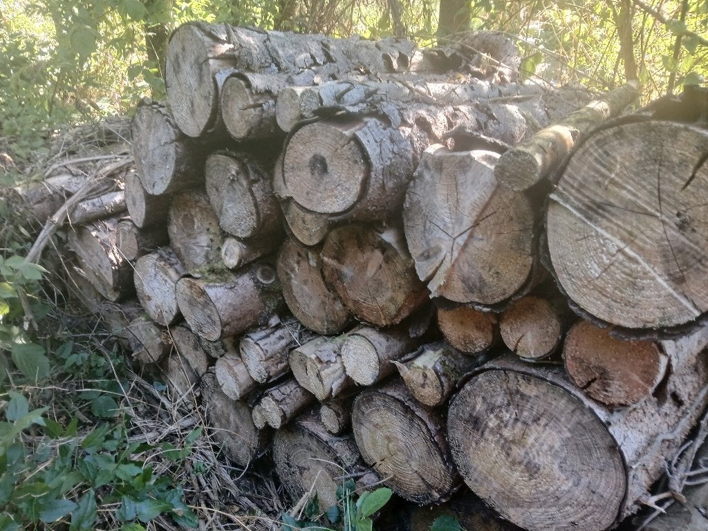 Bois de chauffage sapin sec, Enlèvement