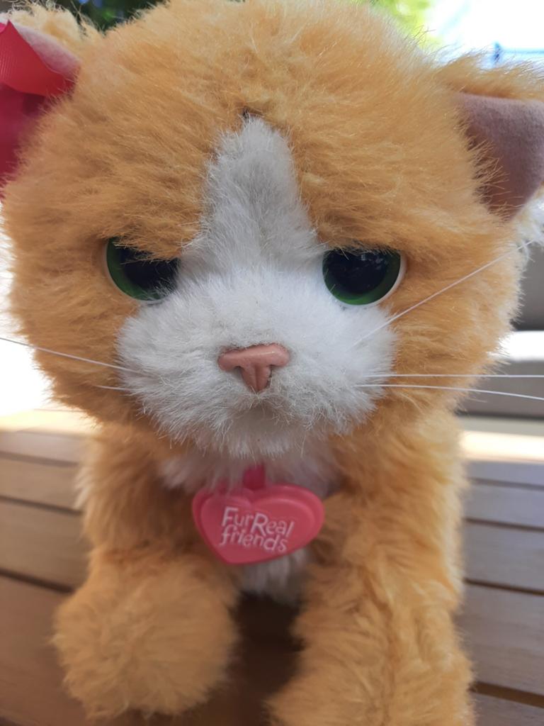 Interactieve poes Nieuwstaat, Kinderen en Baby's, Speelgoed | Knuffels en Pluche, Ophalen, Overige merken, Overige karakters, Zo goed als nieuw