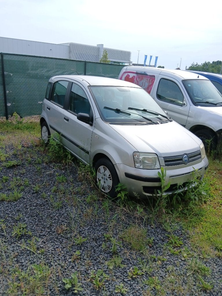Fiat Panda, Auto's, Voorwielaandrijving, Panda, 5 deurs, Particulier