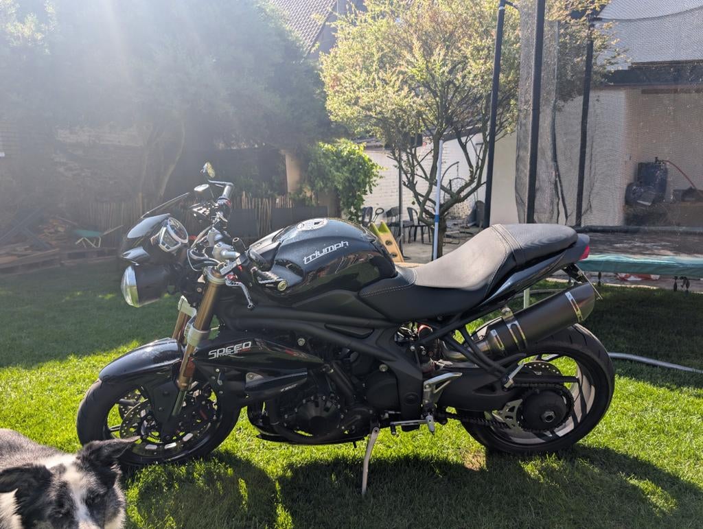 Triumph Speed triple, Motos