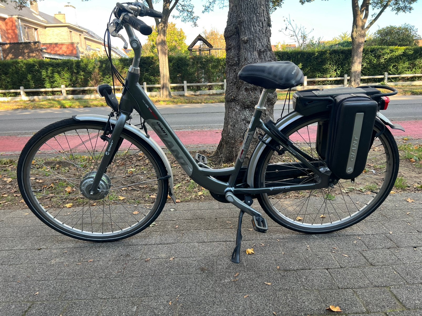Vélo électrique géant, Vélos & Vélomoteurs, Enlèvement, Comme neuf, Giant