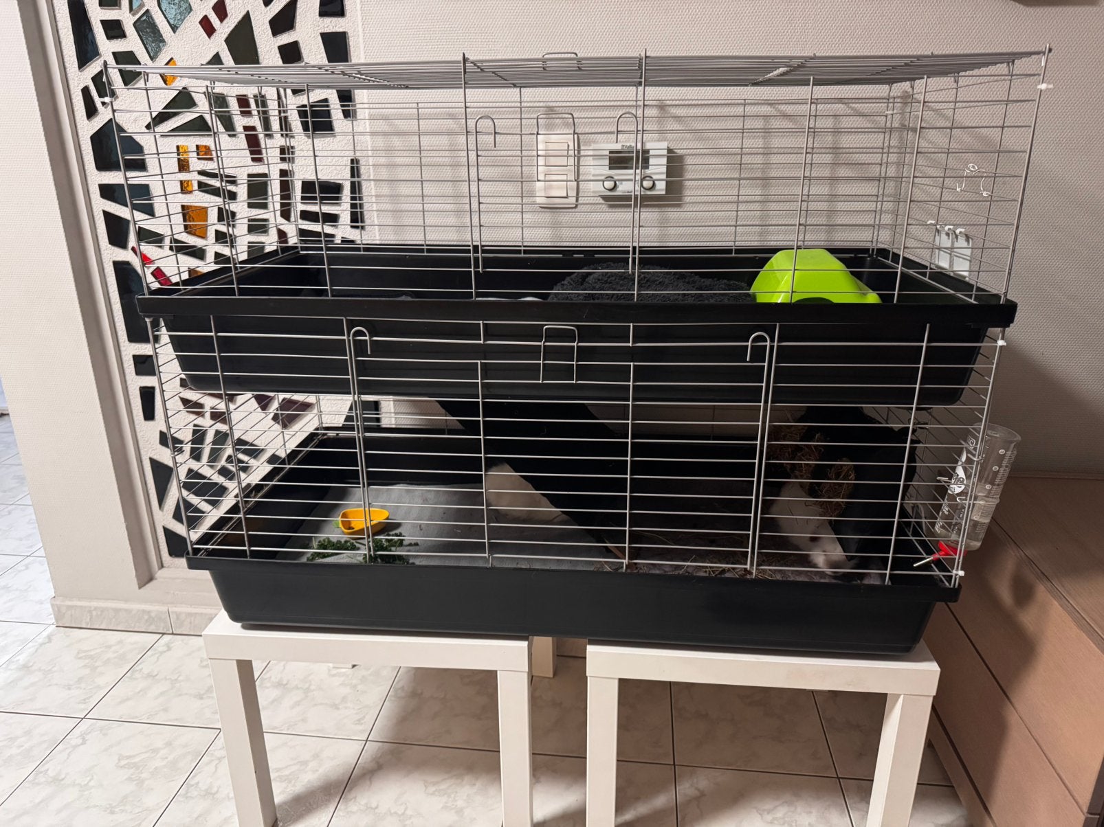 Dubbele knaagdierenkooi +trapjes tunnelsysteem 120 hok cavia, Dieren en Toebehoren, Ophalen, Zo goed als nieuw, Kooi, Cavia