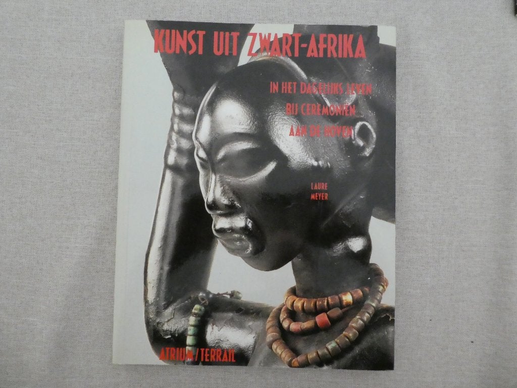 Kunst uit Zwart Afrika: dagelijks leven, hoven, rituelen, Ophalen of Verzenden