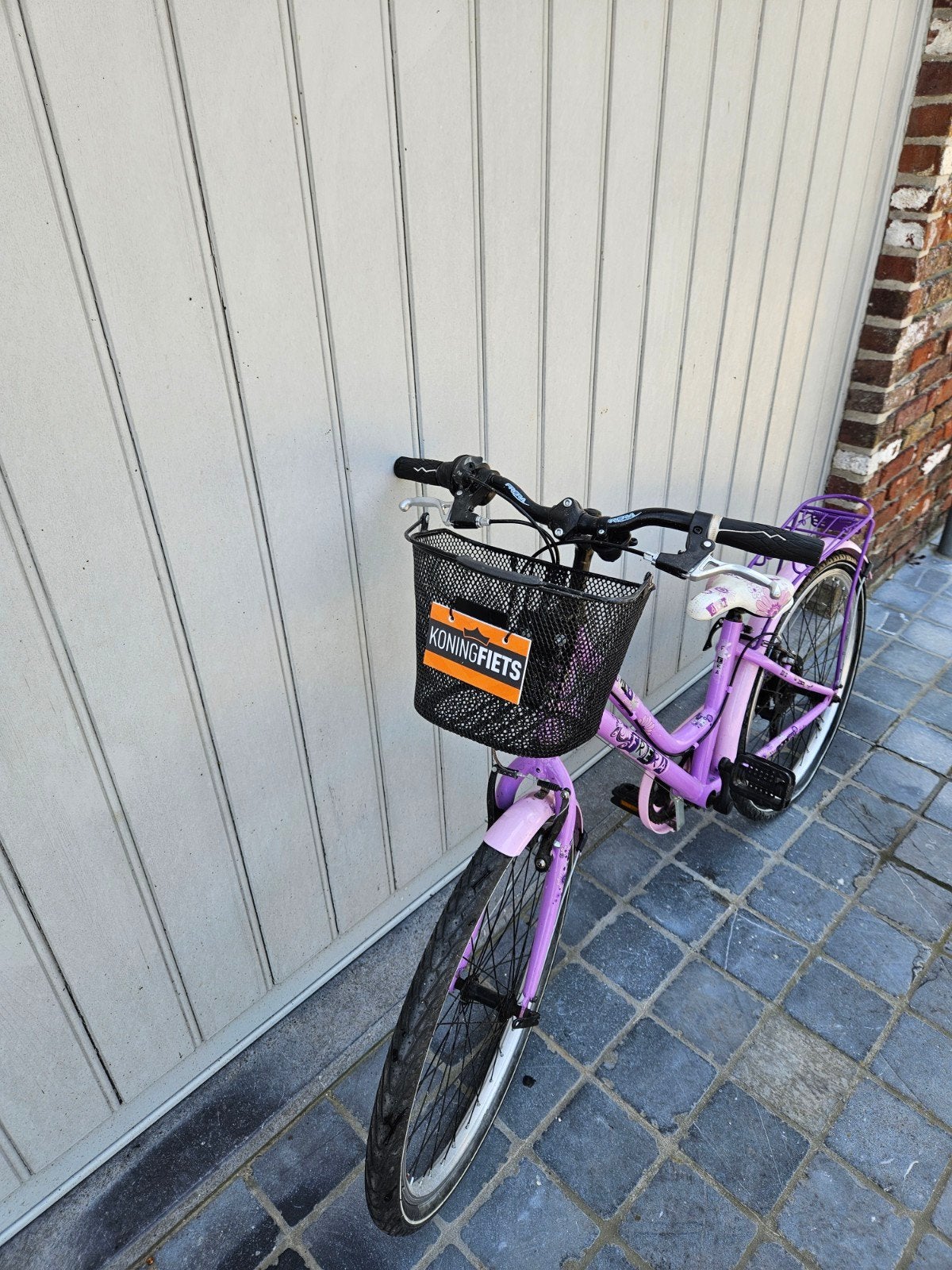 Paarse fiets (met mandje), Ophalen, Gebruikt, Alpina, Versnellingen