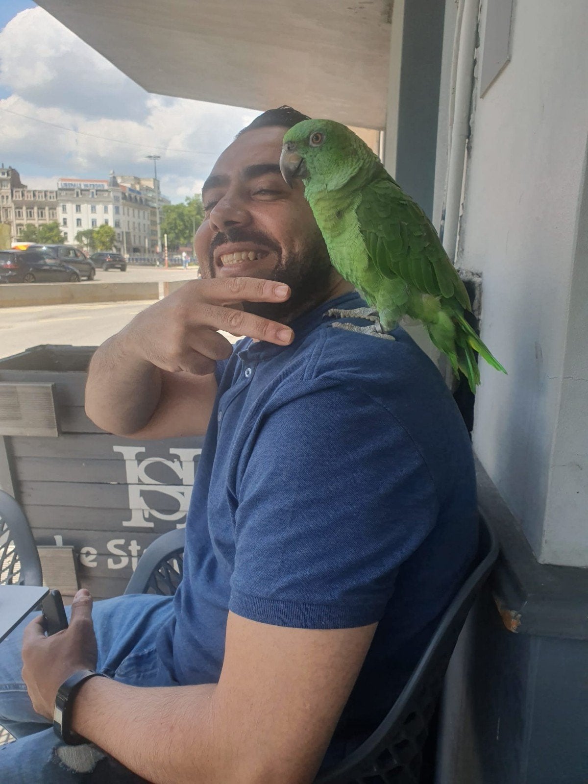 j'ai 2 prt  une amazone  et une kayik très belle et mignonne, Immo