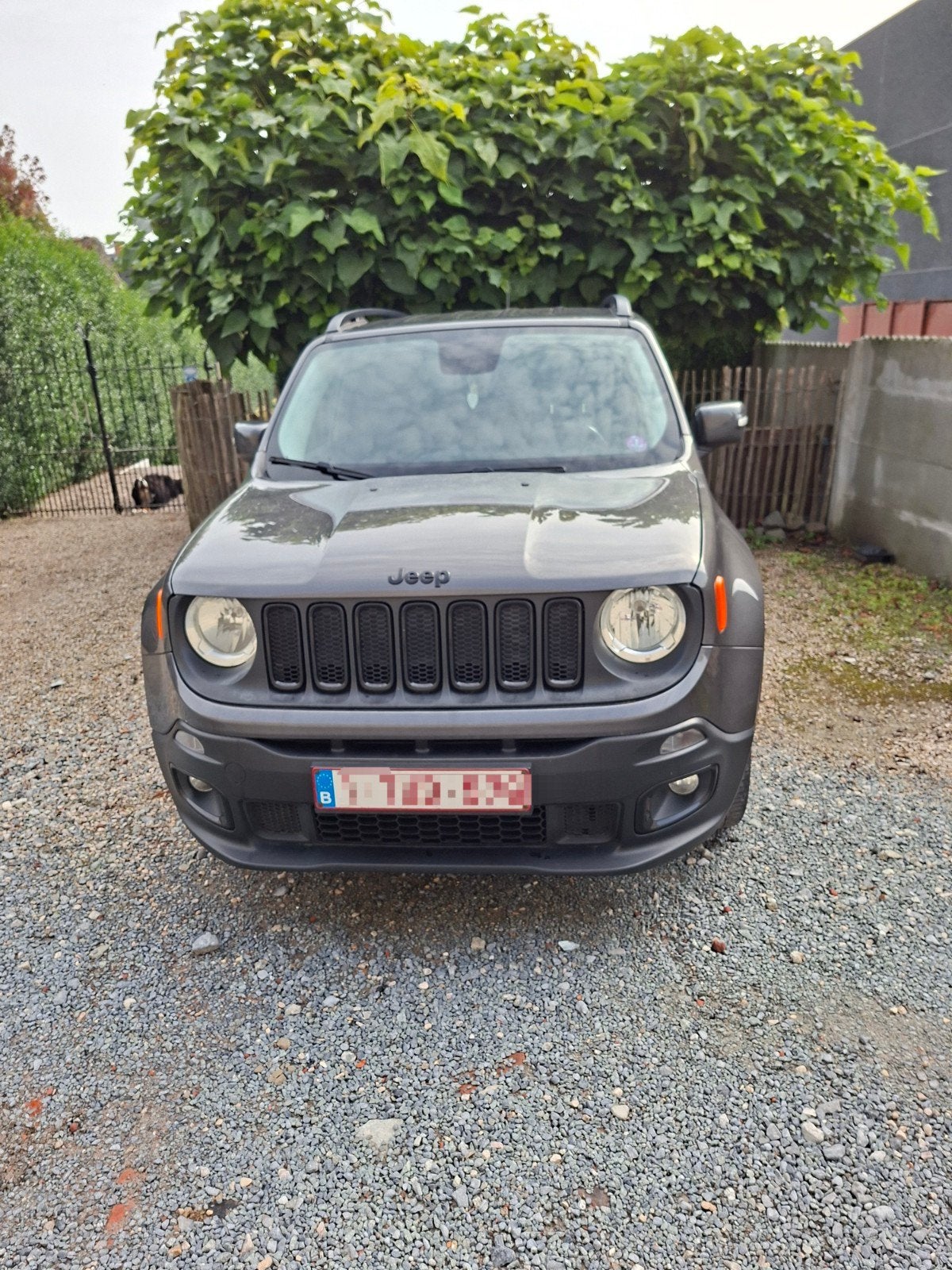 Jeep Renegade, Auto's, Particulier, Renegade, Te koop, Benzine