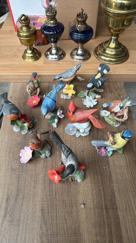 Oiseaux collection lot de 10 pièces, Verzamelen, Complete verzamelingen en Collecties, Ophalen