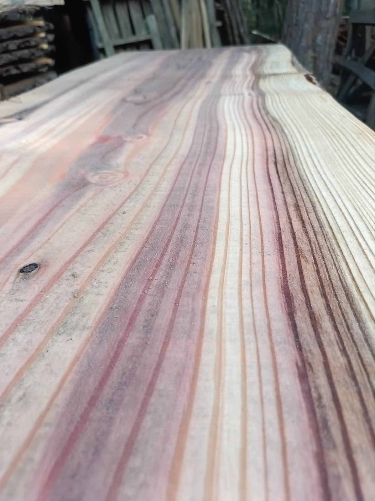 Unieke  Sequoiadendron giganteum boomstamplanken, Enlèvement, Planches