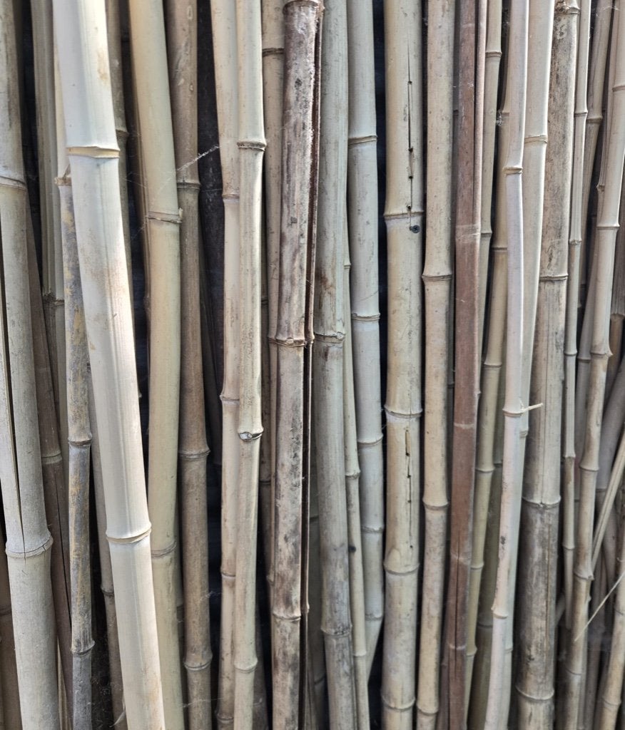 Bamboo, Ophalen, Nieuw