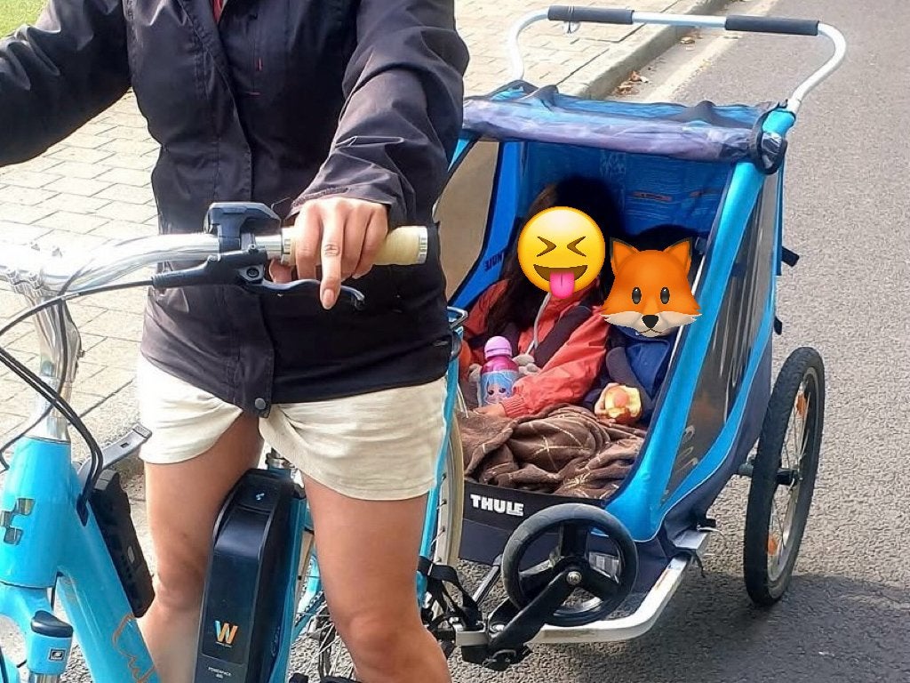 Thule Coaster XT fietskar, Fietsen en Brommers, Ophalen, Zo goed als nieuw