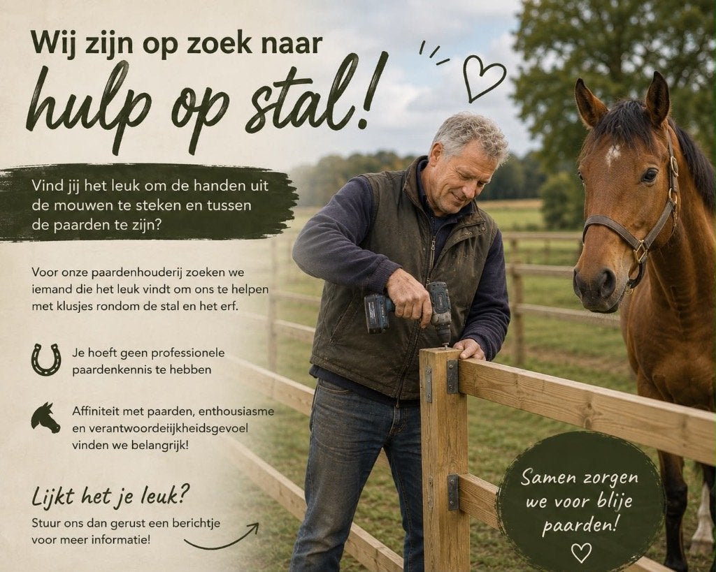 Klusjesman/vrouw tussen de paarden gezocht!, BR, Enlèvement, Neuf