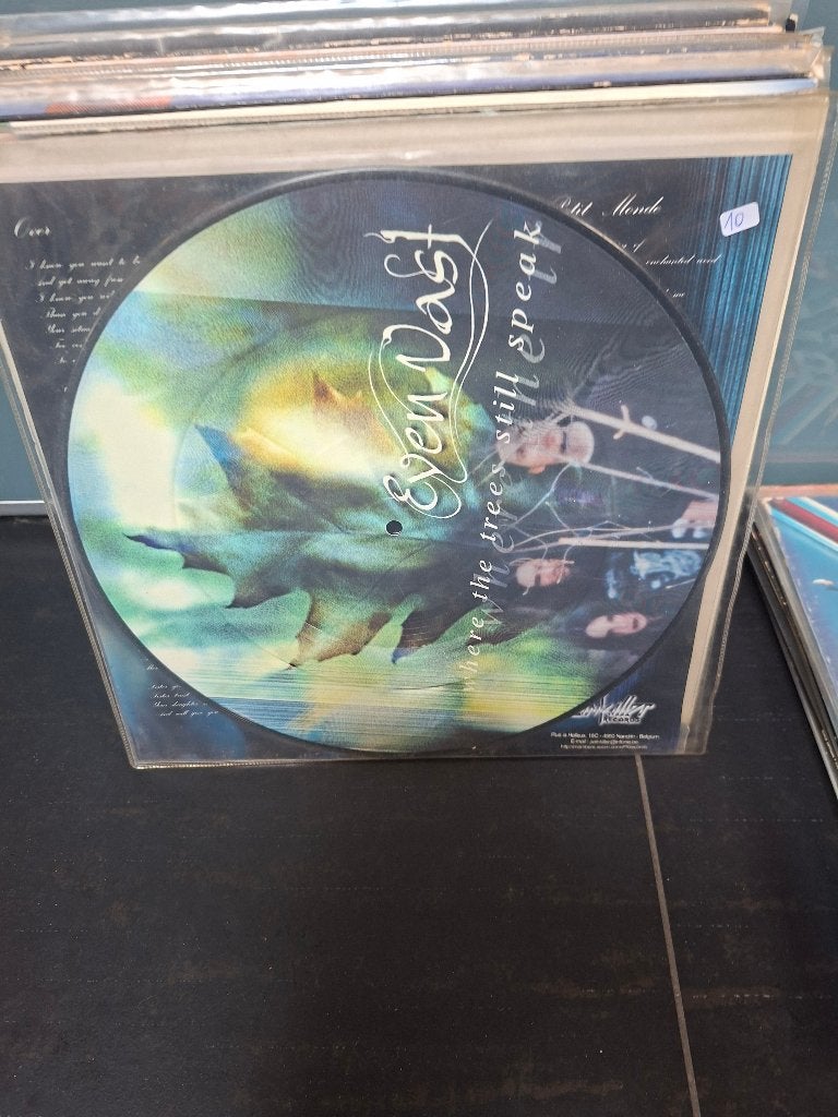 12" - even vast - where the trees still speak - vak 10, Cd's en Dvd's, Beschermende buitenhoes, Ophalen of Verzenden, Zo goed als nieuw