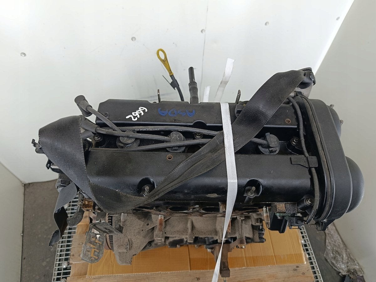 Moteur ASDA Nu FORD FOCUS, Envoi, Utilisé, Daihatsu