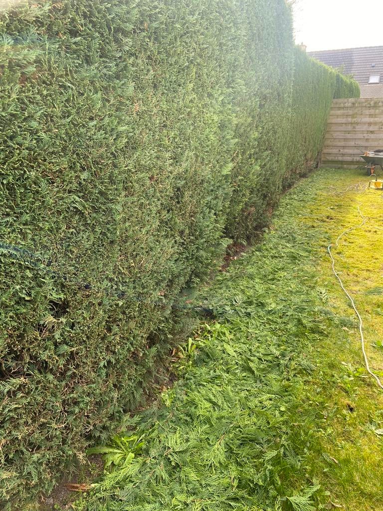 Tuinman met ervaring, Tuin en Terras, Ophalen