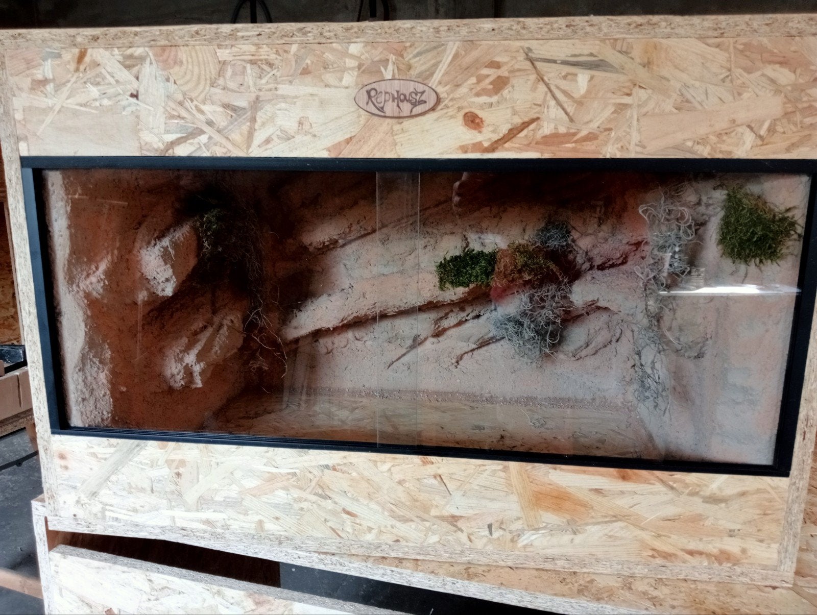 osb3 terrarium met achterwand, Dieren en Toebehoren, Ophalen, Nieuw, Terrarium of Paludarium