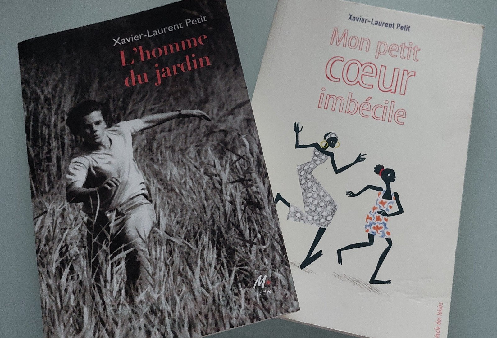 Livres : L'homme du jardin et Mon petit cœur imbécile, Livres, Enlèvement ou Envoi