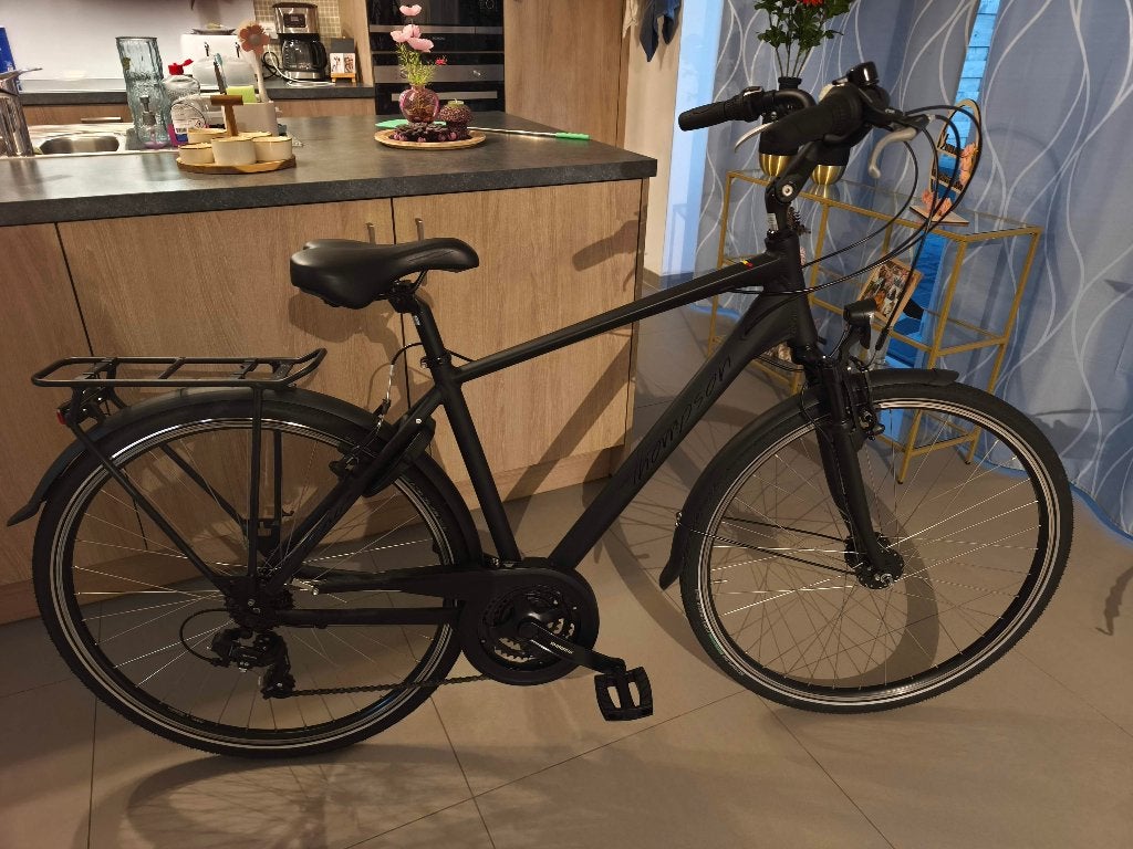 Thompson Rave.NIEUW., Fietsen en Brommers, Ophalen, Velgrem, Versnellingen, Nieuw