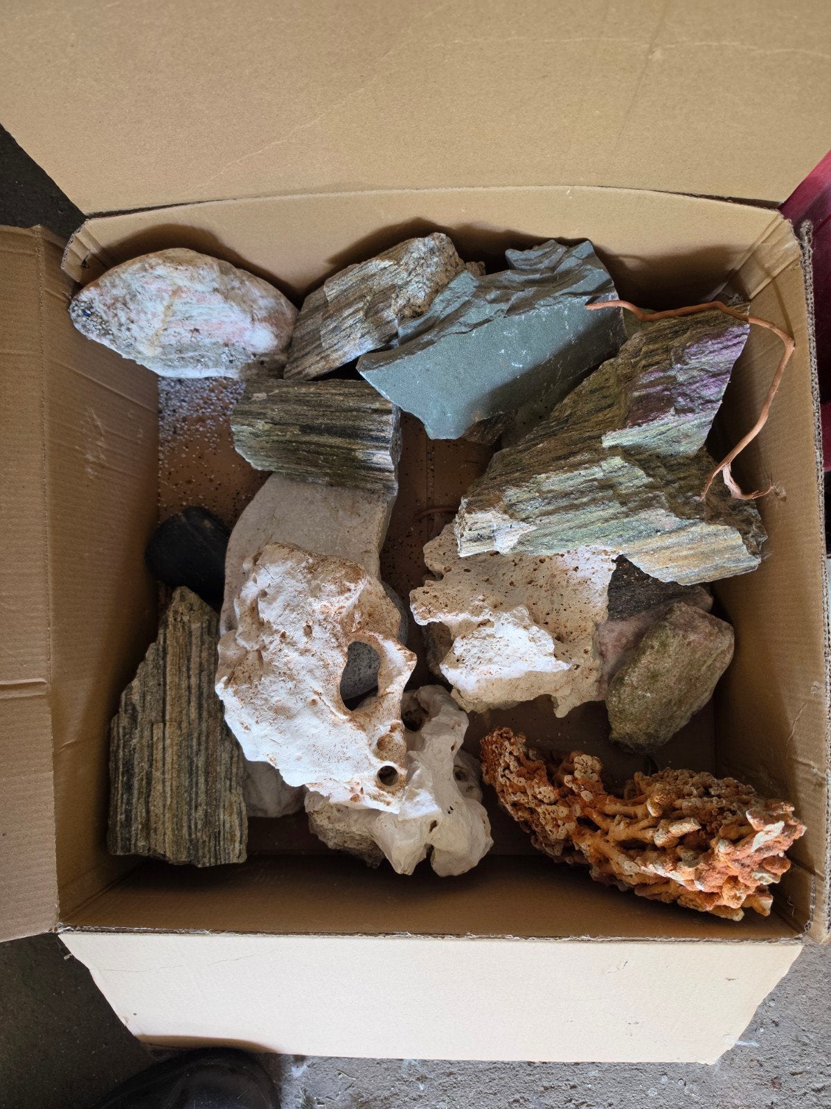 Lot de pierres pour aquarium, Animaux & Accessoires, Enlèvement