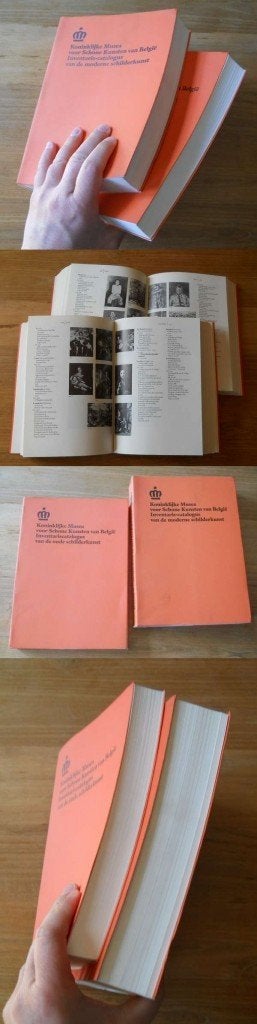 Koninklijke Musea voor Schone Kunsten van Belgïe (2 vol), Livres, Art & Culture | Arts plastiques, Enlèvement ou Envoi, Utilisé
