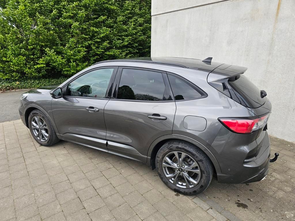 Ford kuga ST-line X 2.5 FHEV, Auto's, Euro 6, 4 cilinders, Alcantara, 2498 cc