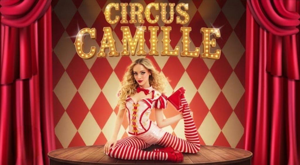 2 tickets Circus Camille