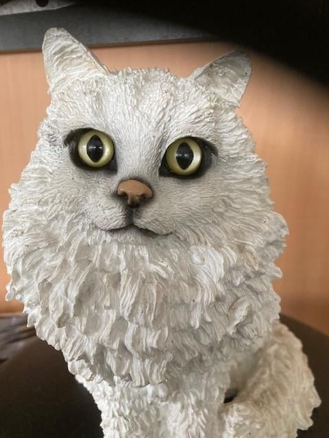 Stenen kat, Ophalen, Zo goed als nieuw, Dier