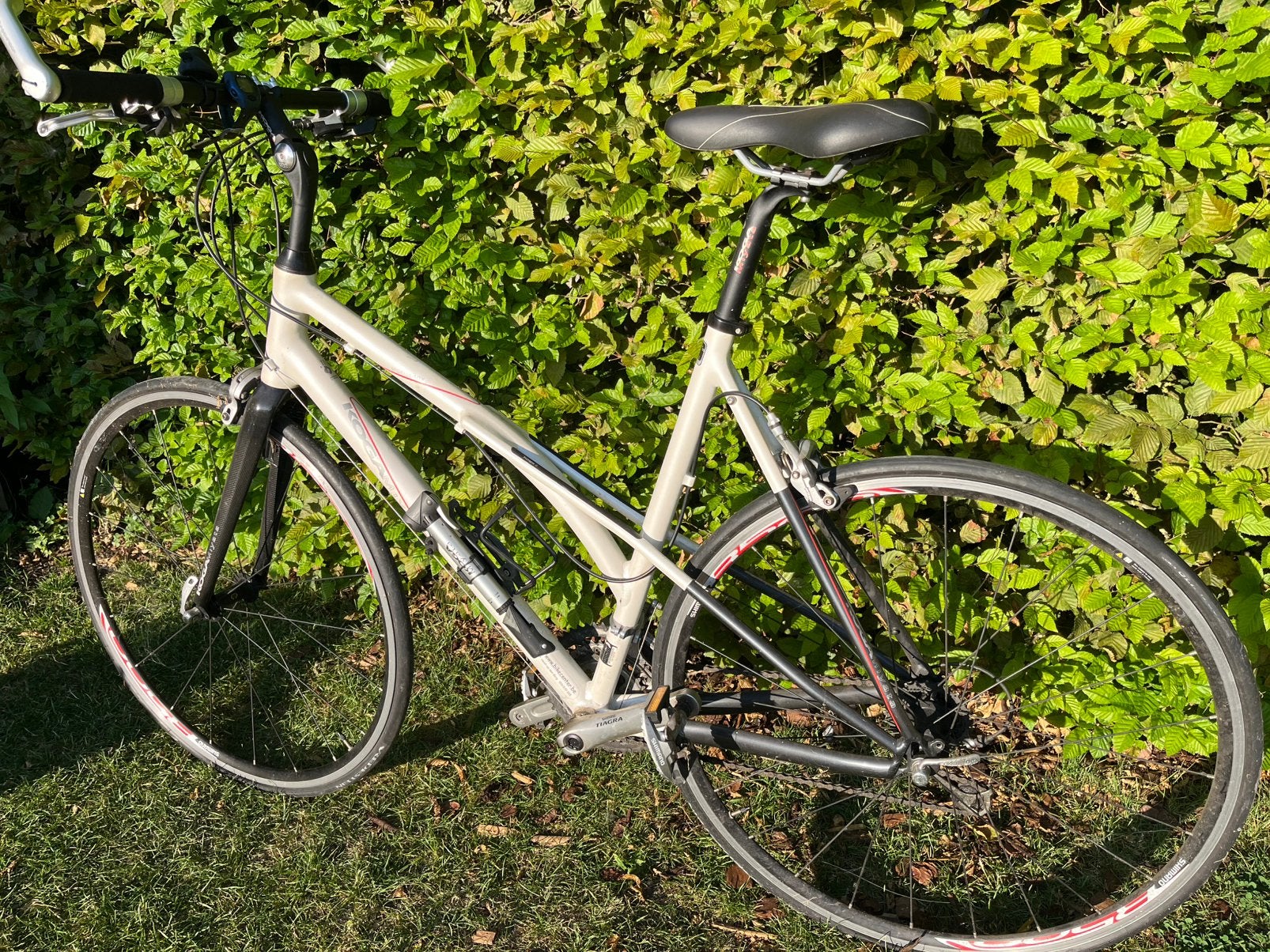 Koga dames koersfiets, Fietsen en Brommers, Ophalen, Velgrem, Koga Miyata, Meer dan 20 versnellingen