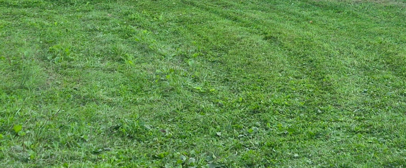 Maaien groene zones, Jardin & Terrasse, Gazon & Gazon artificiel, Enlèvement